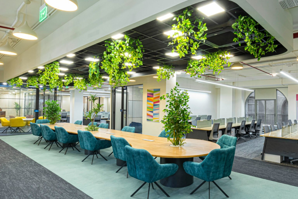 kitchen interior designers